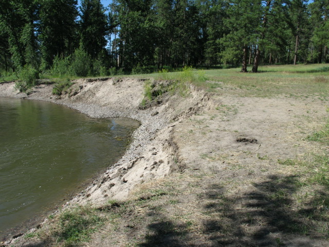 picture showing River overlook on a sandy bluff.